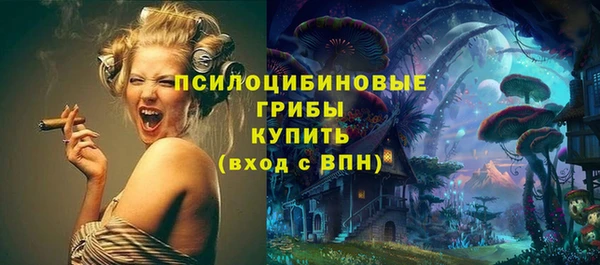 а пвп мука Алзамай