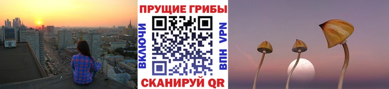 МЕГА онион  Алексин  Псилоцибиновые грибы Magic Shrooms 